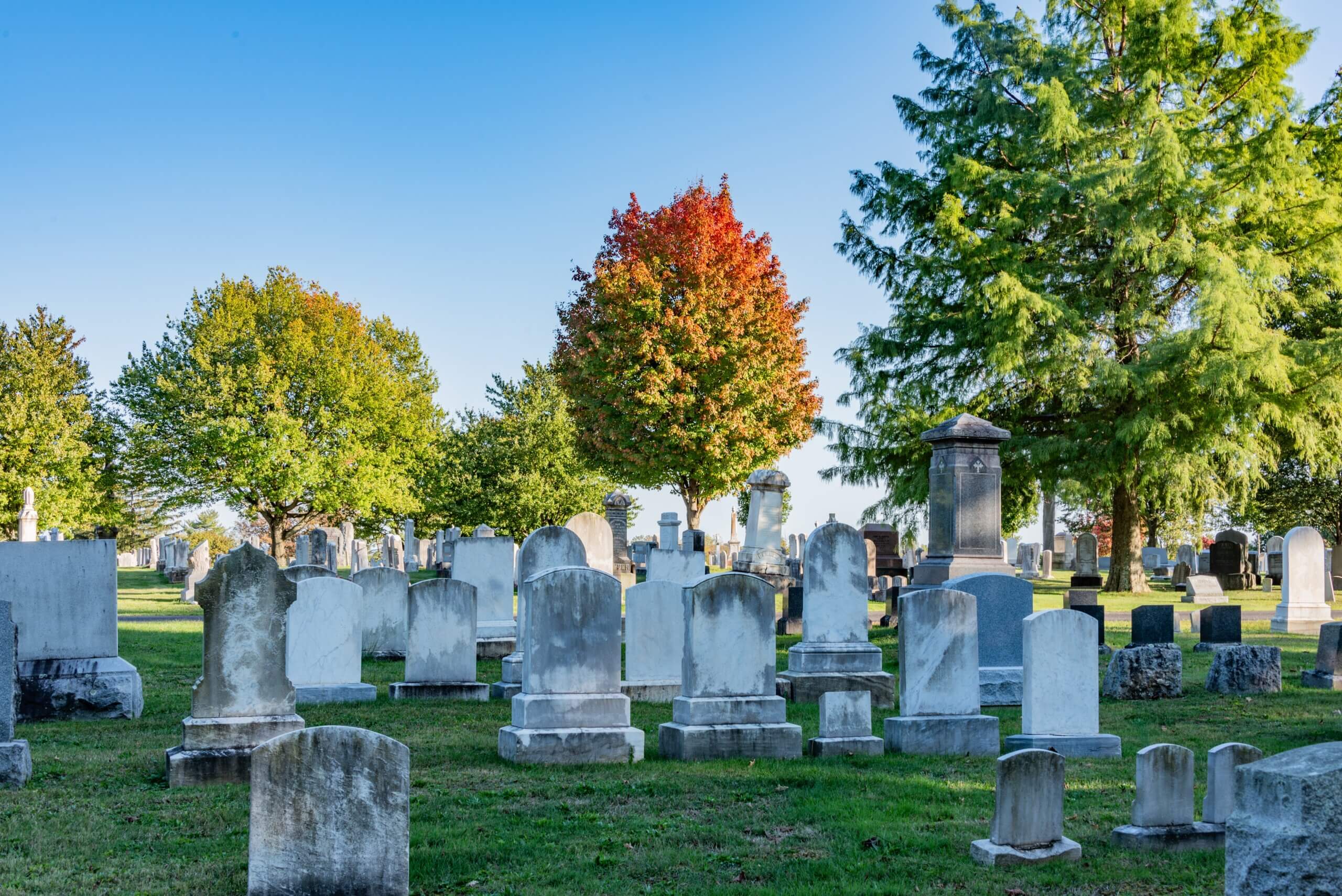cemetery during an autumn afternoon